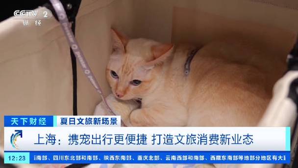 标题：宠物航班要来了？携宠出行成风尚 上海解锁宠物消费新密码