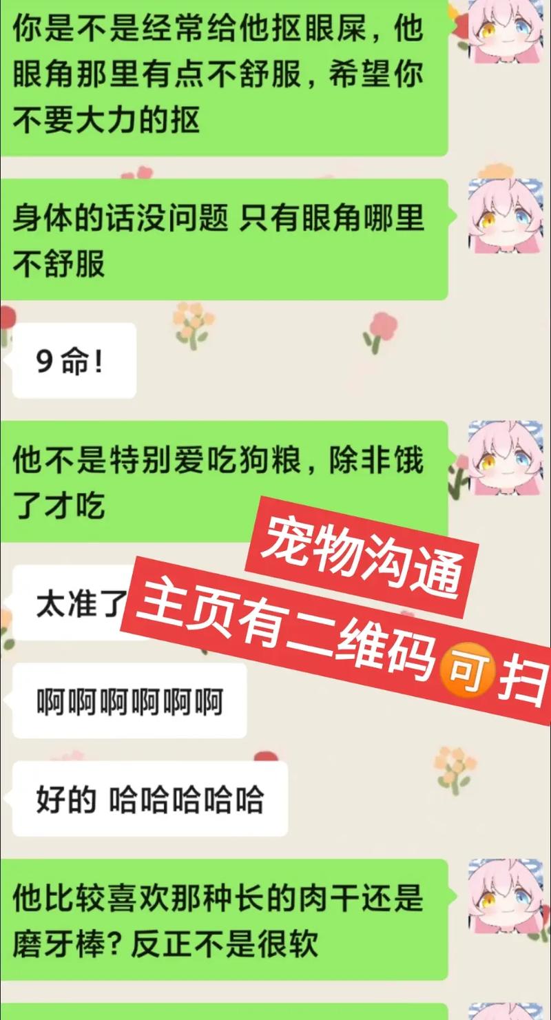 标题：宠物沟通师是玄学还是骗局