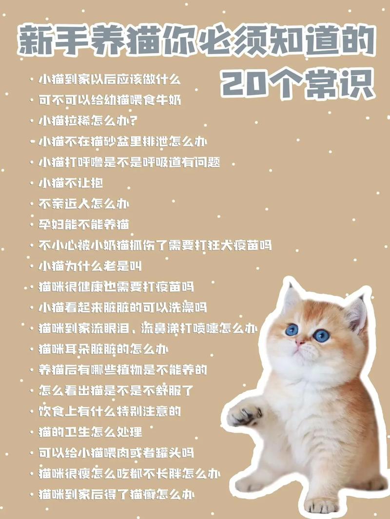 标题：留学生养宠指南——你真的做好养宠物的准备了吗？