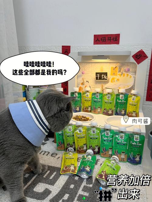 标题：“宠物服务”越来越周到 吃喝玩乐一应俱全，你家毛孩子用过哪些？